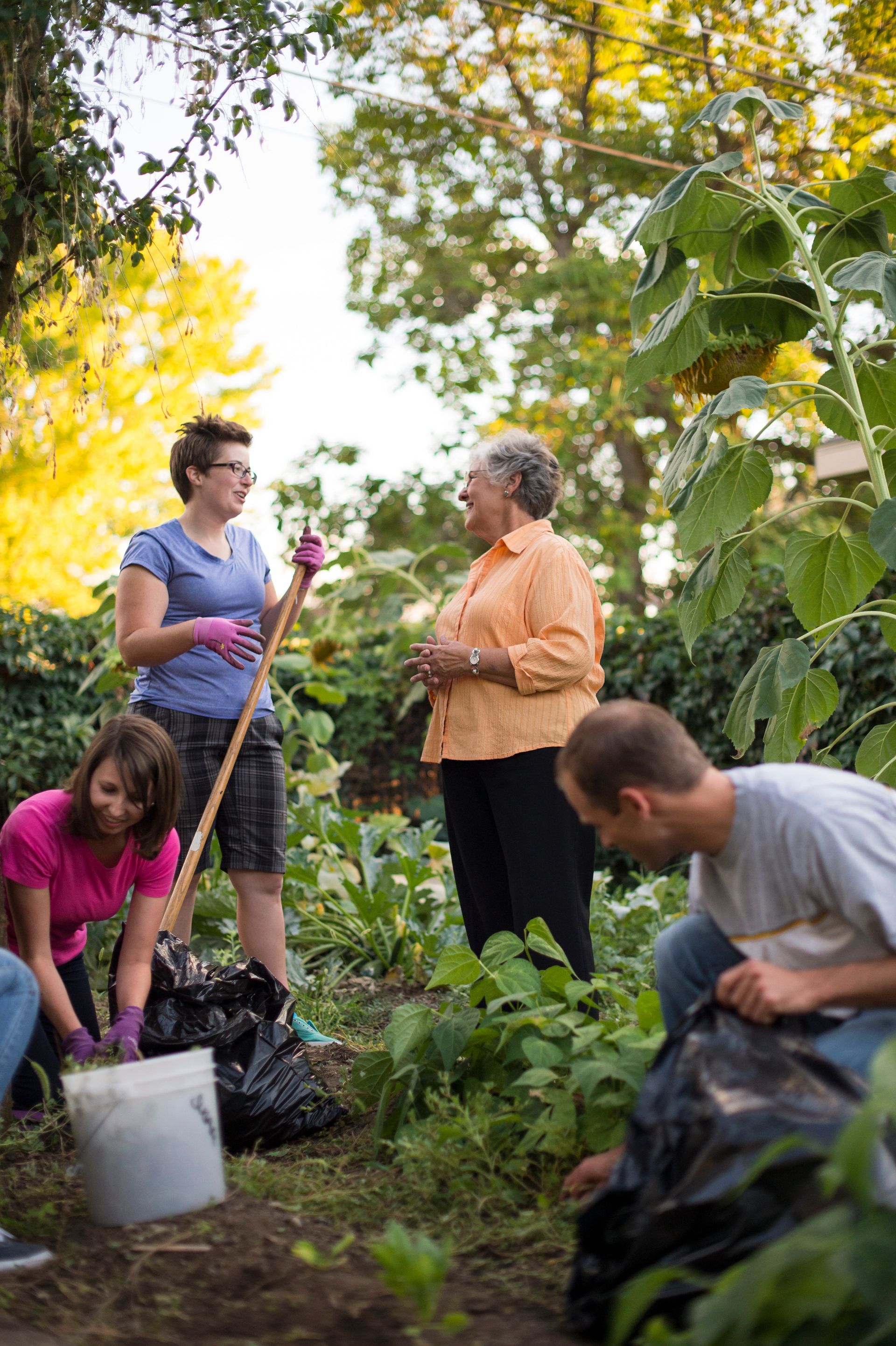 A group of young adults help an elderly woman clean up her yard.  