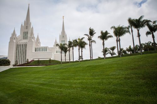 The San Diego California Temple, with a view of the grounds and a line of palm trees leading up to the temple.