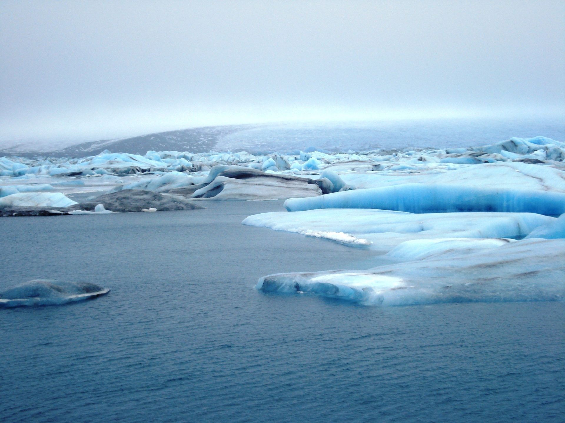 Icebergs float in water near a glacier.