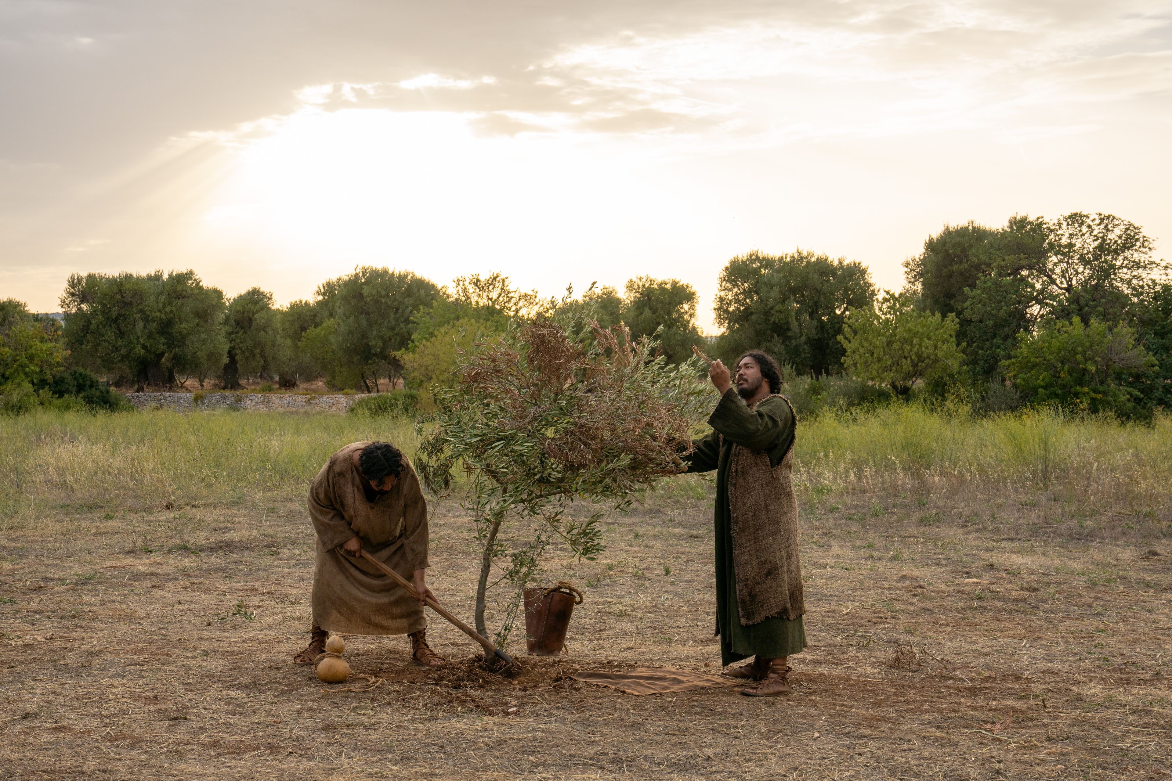 The Lord of the Vineyard and his servant dig and nourish the small tree. This is part of the olive tree allegory mentioned in Jacob 5.