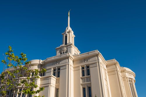 An upward view of the Payson Utah Temple spire from the south side during the day, including a tree.