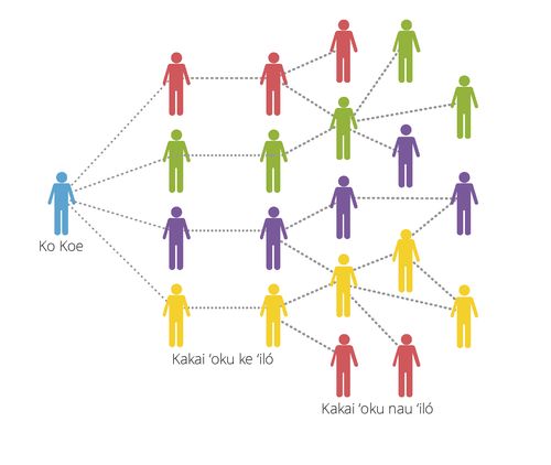 connections diagram