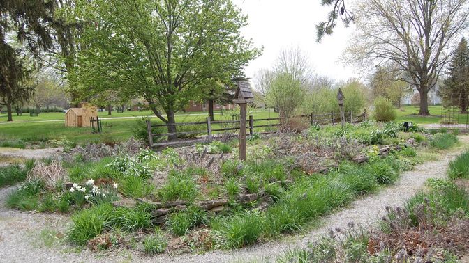 A garden with early spring flowers in bloom. A wooden outhouse is visible in the background.