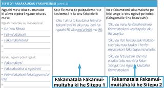 Ngaahi fakatonutonu ki he sitepu 1 mo e 2 ʻi he Palani Pisinisi Fakatāutahá