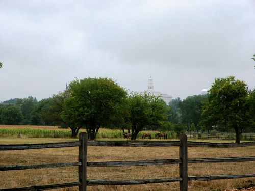 The Nauvoo Illinois Temple seen from a distance, with a wooden fence in the foreground enclosing several horses on a grassy field.