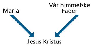 uppställning över Jesu Kristi härkomst