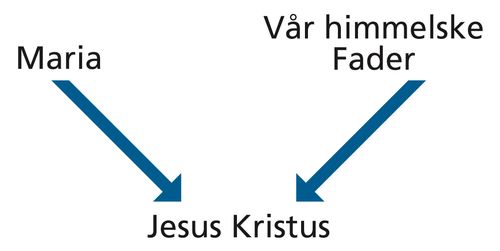 Diagram with the words Mary and Heavenly Father and arrows pointing to the words Jesus Christ.