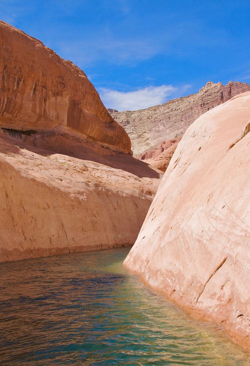 Red rocks line Lake Powell in Utah, with blue sky above and water below.