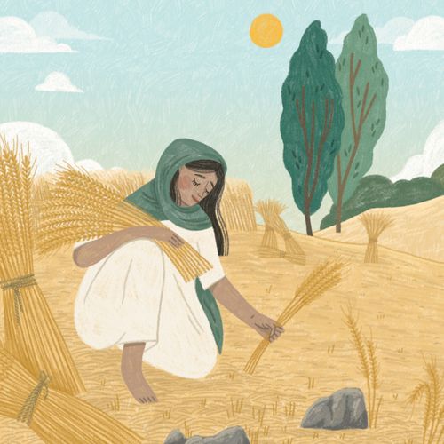 Ruth gathering wheat