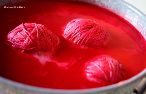 Wool stained scarlet