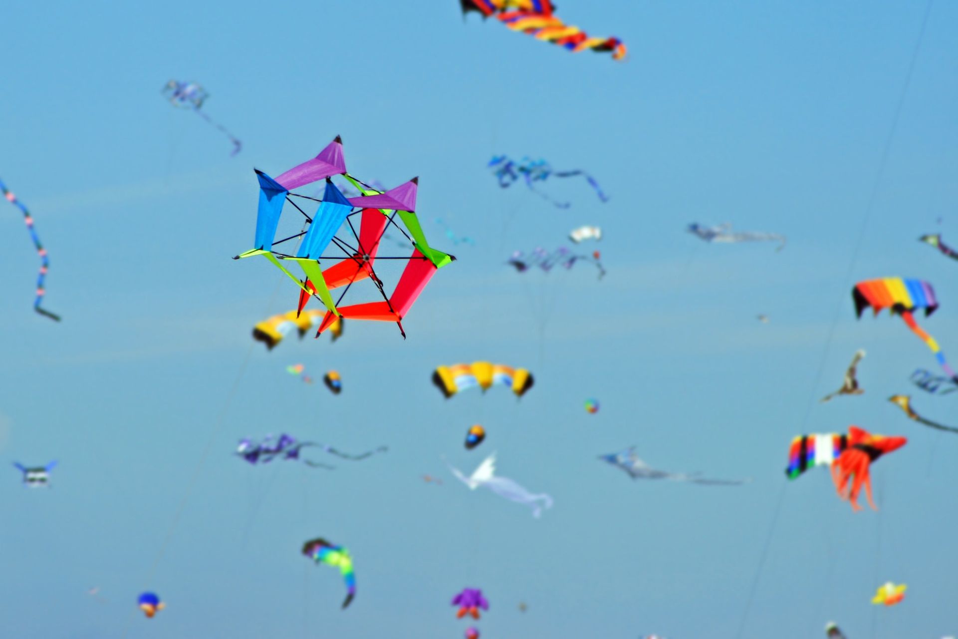 A group of kites flying in the sky.