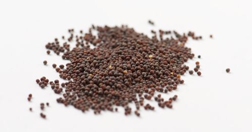 Mustard seeds