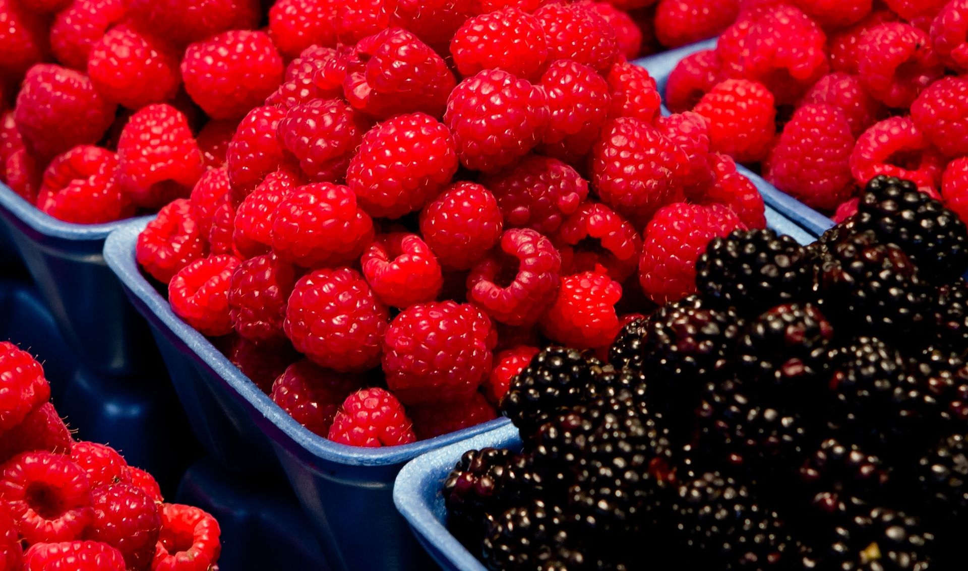 Raspberries and blackberries in baskets.