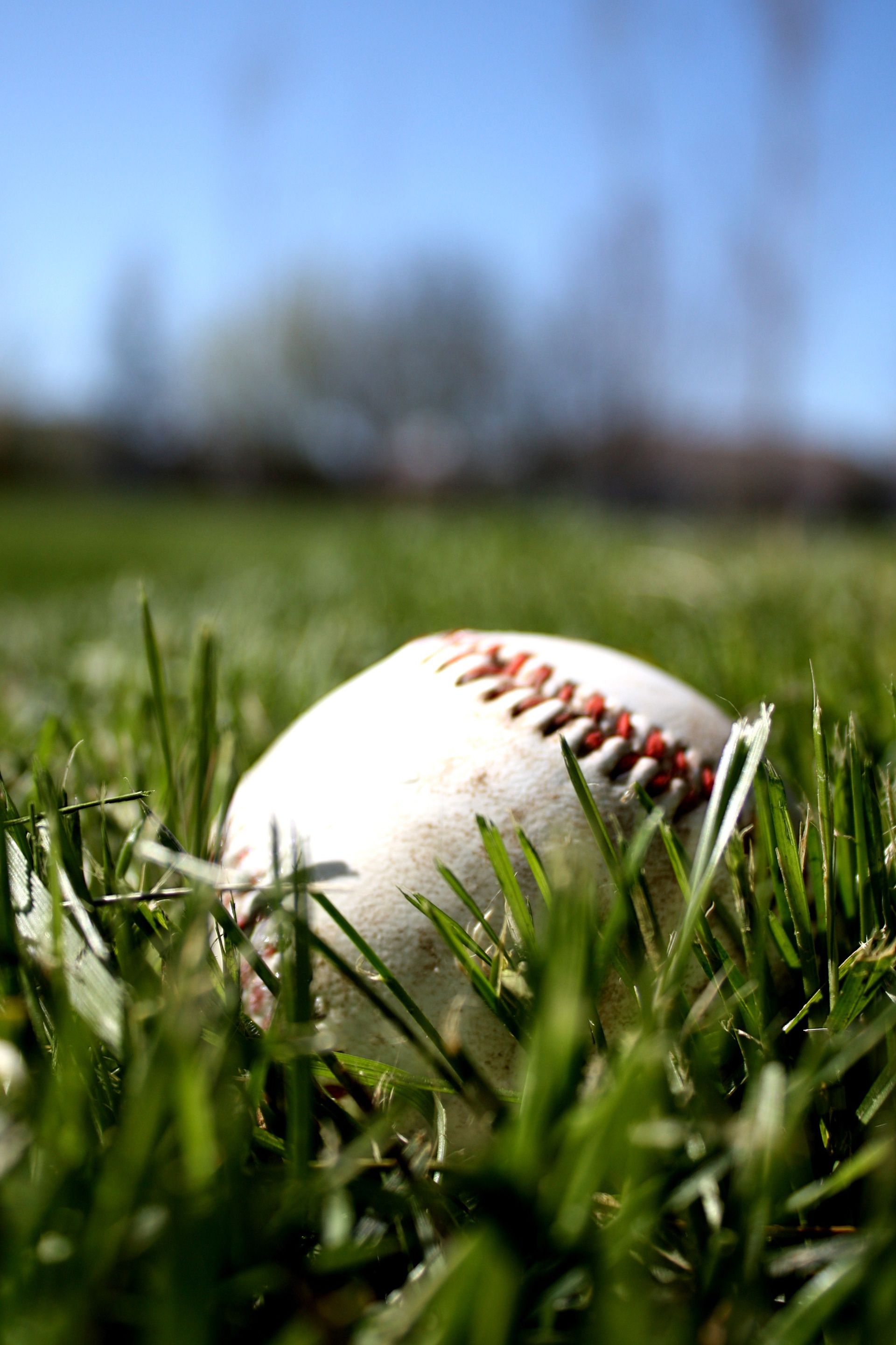 A baseball in the grass.