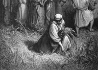 Ruth gleaning in Boaz’s fields