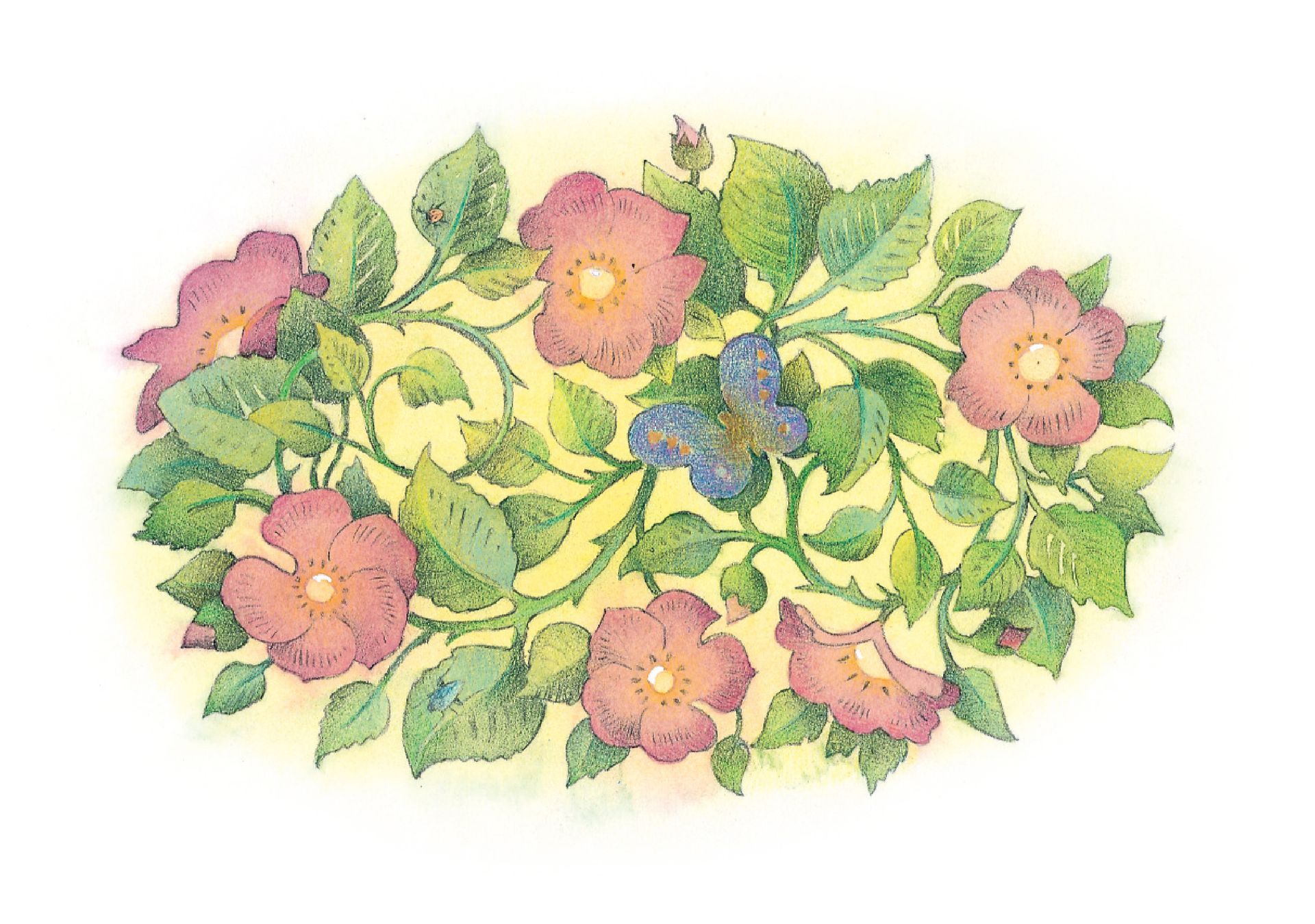 A patch of red flowers with a purple butterfly. From the Children’s Songbook, page 289, “To a Wild Rose”; watercolor illustration by Richard Hull.