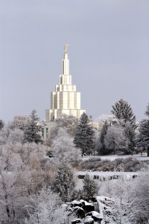 The spire of the Idaho Falls Idaho Temple rising over the snow-covered trees in front of a gray sky on a winter day.