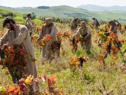 Jesus gives the parable of the laborers in the vineyard