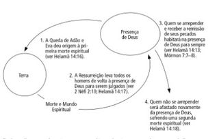 diagrama circular