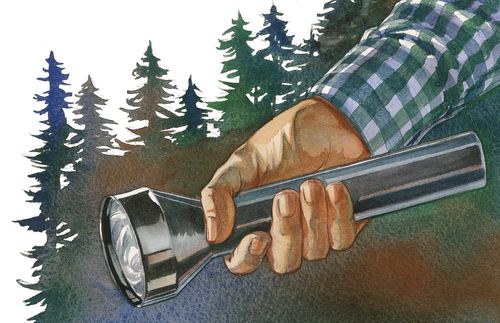 illustration of man's hand holding a flashlight