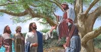 Jesus and Zaccheus