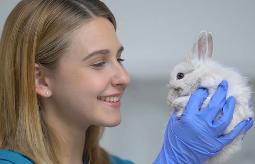 दयालु शोधकर्त्ता और खरगोश 