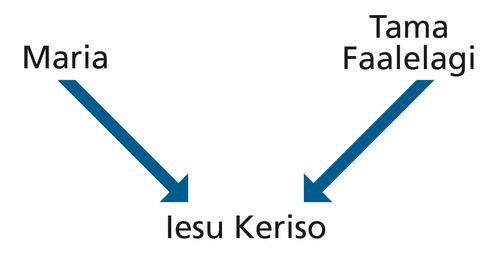 Diagram with the words Mary and Heavenly Father and arrows pointing to the words Jesus Christ.