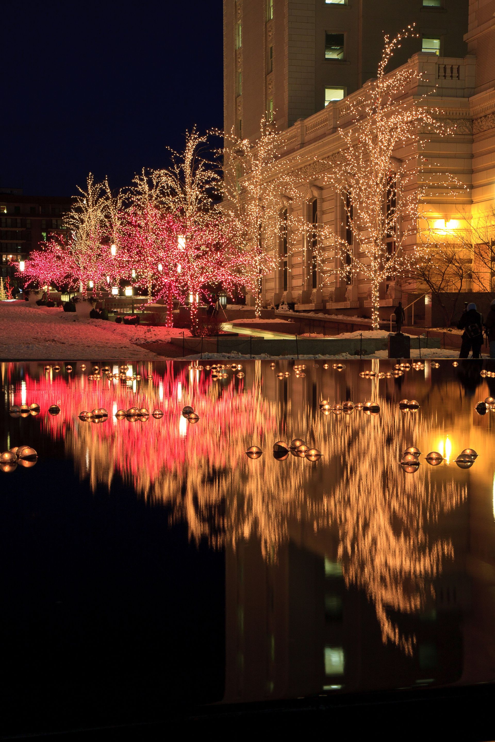 Christmas tree lights reflected in a pool of water at Temple Square.