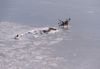 Boat in ice