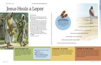 Jesus heals a leper
