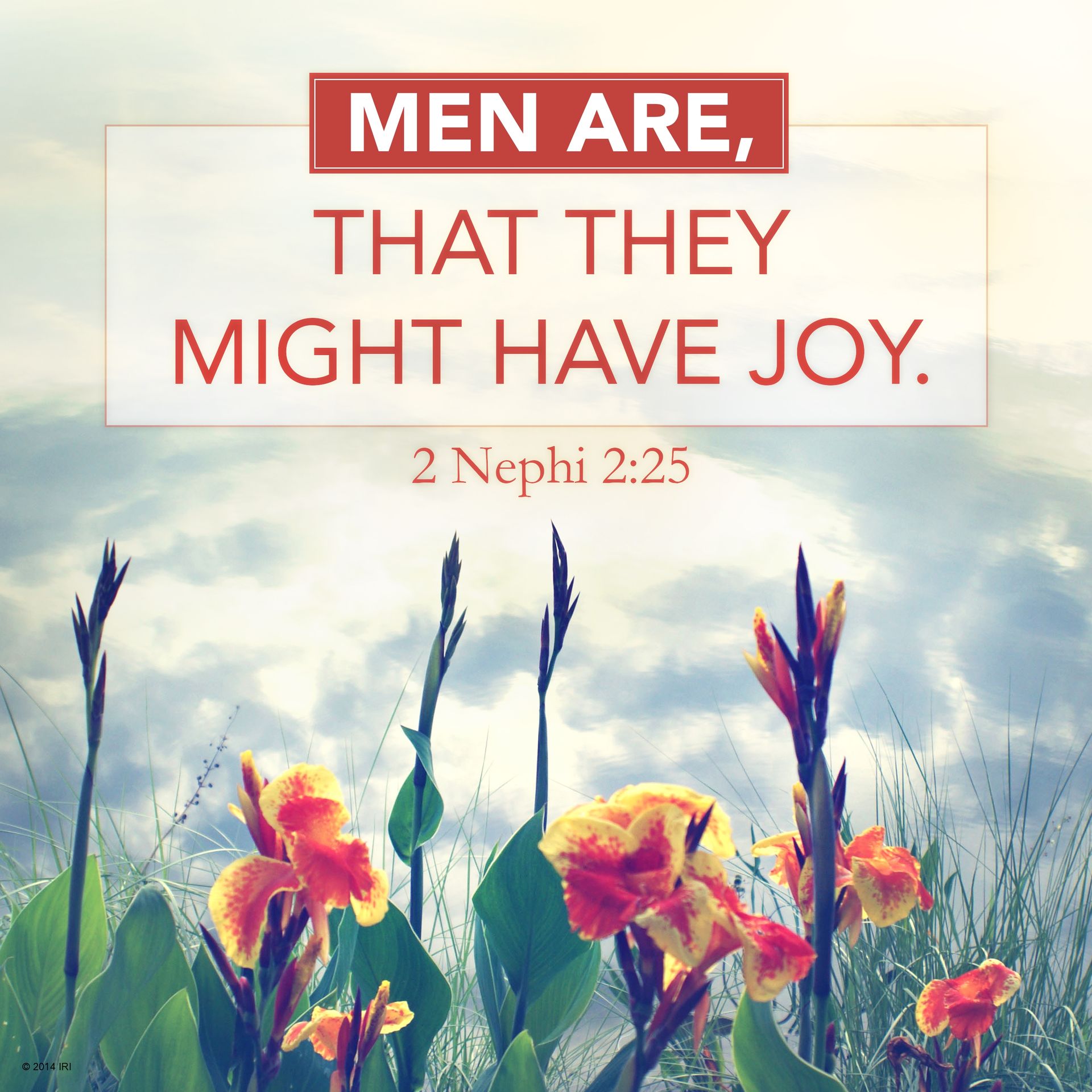 “Men are, that they might have joy.”—2 Nephi 2:25