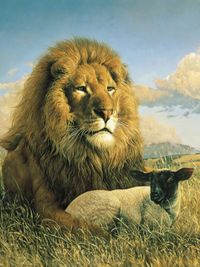 lion and lamb