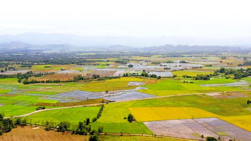 farmland in Philippines
