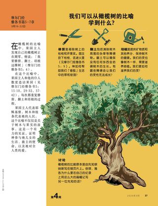 我们可以从橄榄树的比喻学到什么