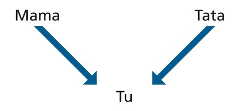 diagramă, părinţi, voi