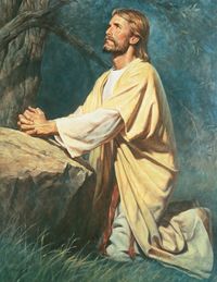 Christ kneeling beside a large rock in the Garden of Gethsemane. Christ's hands are clasped and He is looking up.