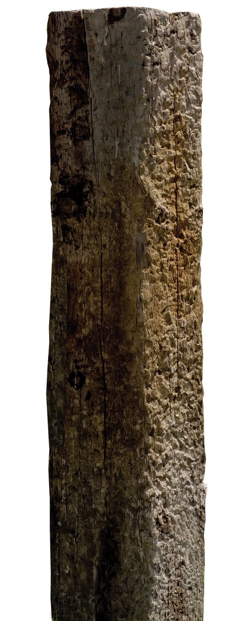 An old hewn oak beam or post.