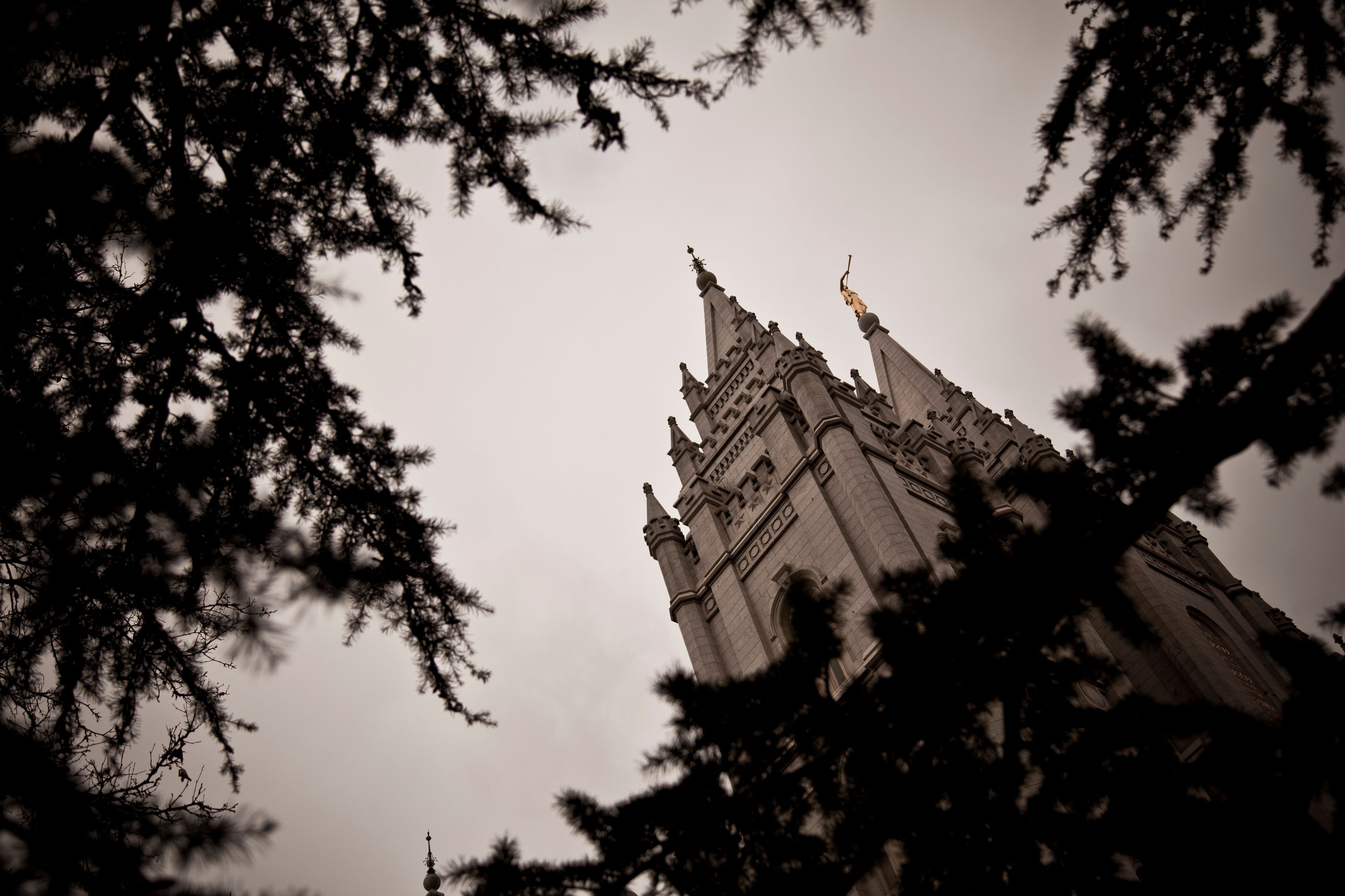 A spire of the Salt Lake Temple, including scenery.