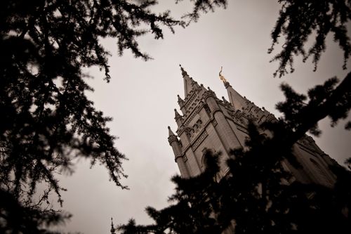 A view of the angel Moroni on the spire of the Salt Lake Temple through branches of trees.