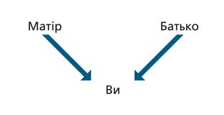 схема родоводу