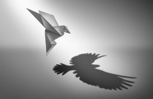 Origamilintu ja oikean linnun varjo