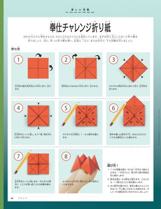 illustrated oribami instructions