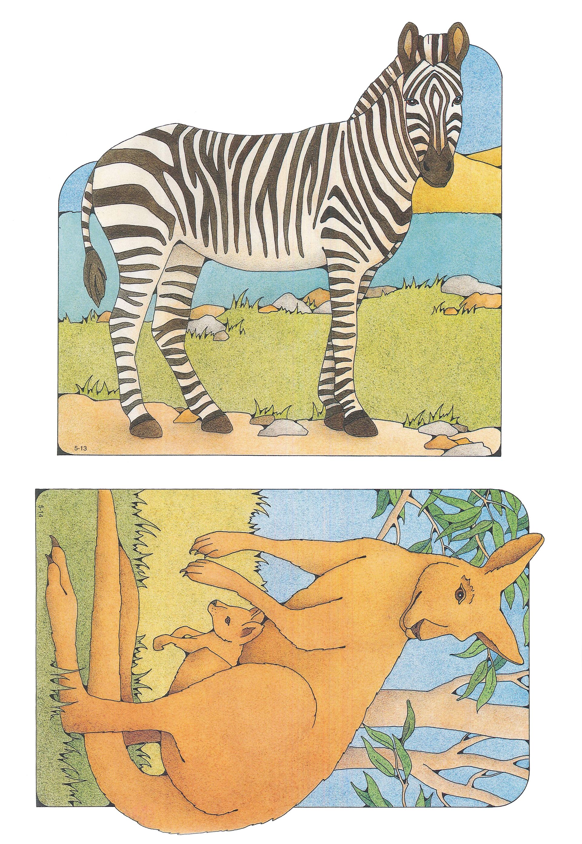 Primary Visual Aids: Cutouts 5-13, Zebra; 5-14, Mother and Baby (Joey) Kangaroo.