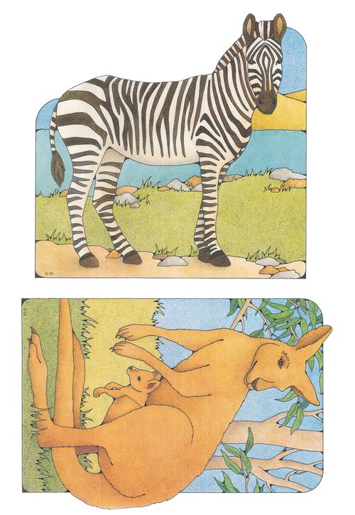 Primary cutouts of a zebra standing by water and a mother kangaroo standing on grass with her baby (joey).