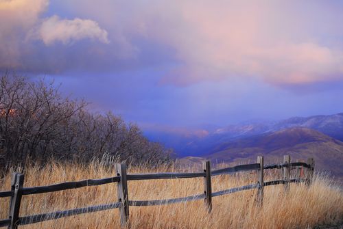 field with wood fence