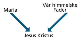 oversikt over Jesu Kristi opphav