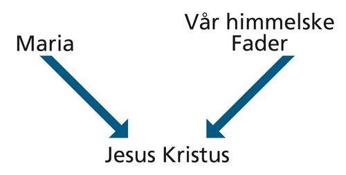 Diagram with the words Mary and Heavenly Father and arrows pointing to the words Jesus Christ.