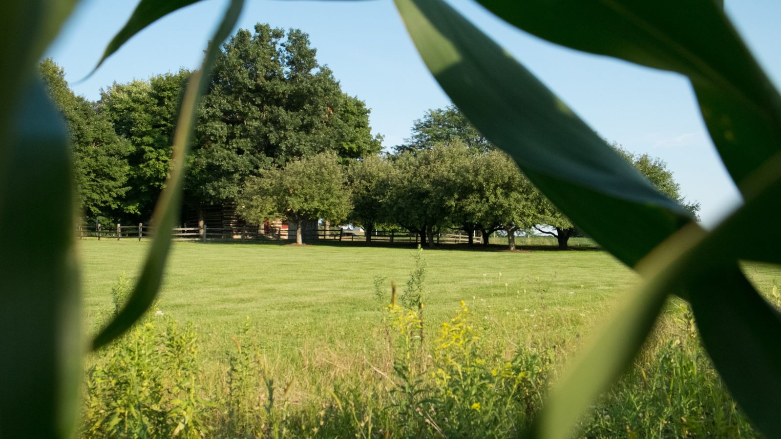 Whitmer Farm Historic Project - Corn to Log Home