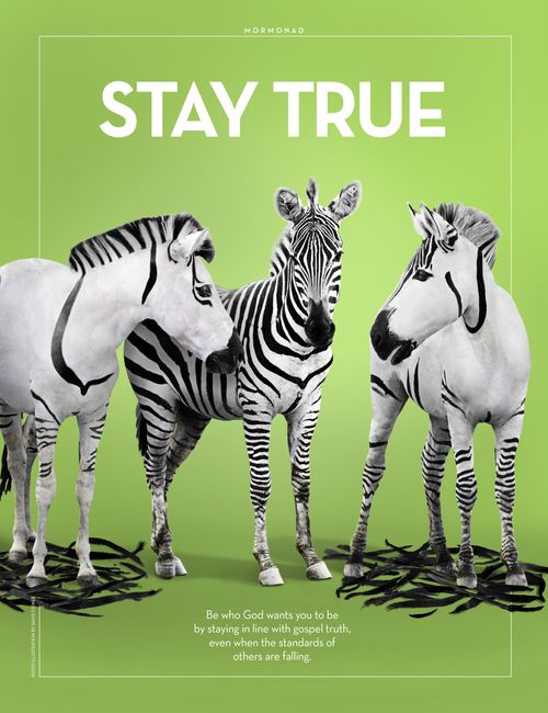 An image of three zebras, two of which have lost their stripes, combined with the words “Stay True.”