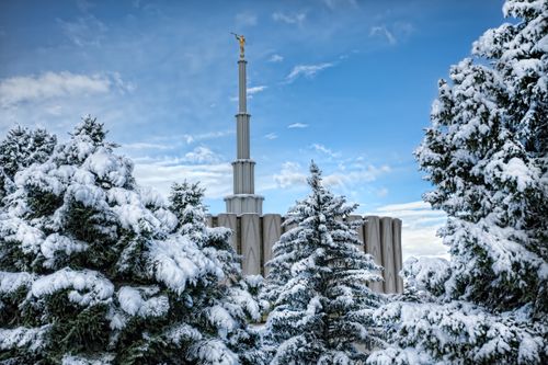 A view of the Provo Utah Temple spire, extending above the trees on the grounds covered in snow.